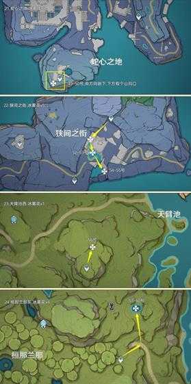 《原神》冰雾花采集路线分享 原神冰雾花位置一览